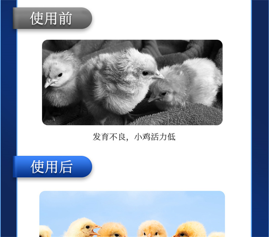 fun88¼ӼƷ