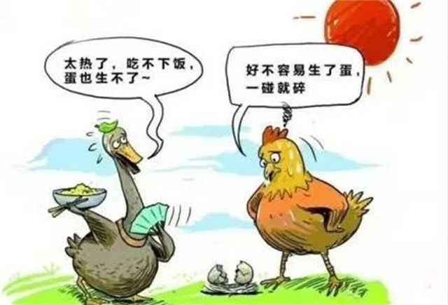 Ӧ