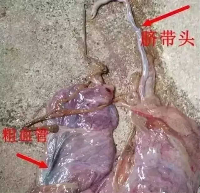 жĸǷ1ͷ